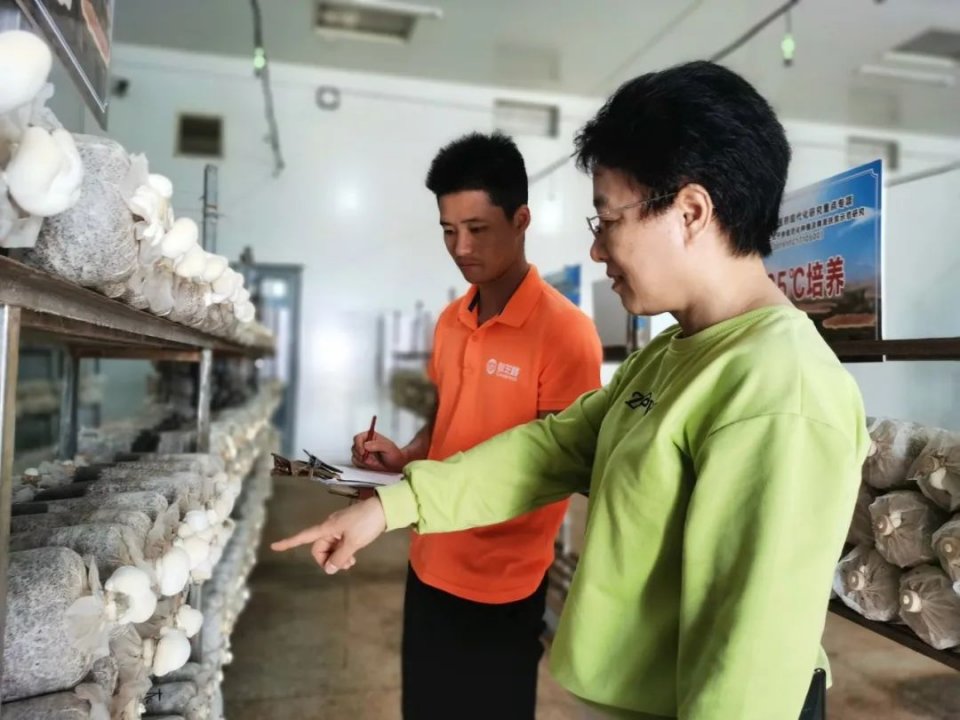 仙芝楼牵头承担国家重点研发计划“中医药现代化研究”灵芝专项