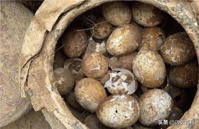 溧阳土墩墓发现一罐鸡蛋，专家不小心打碎一个蛋壳内竟是这情况！