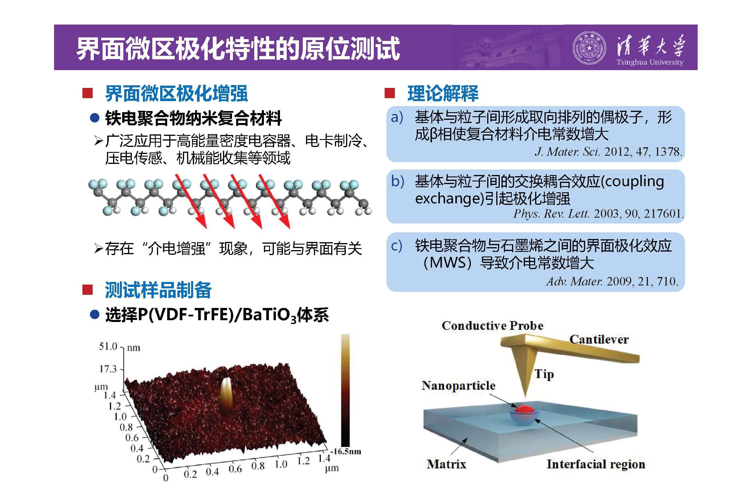 清华大学李琦副教授：介电纳米复合材料界面微区的原位测试技术