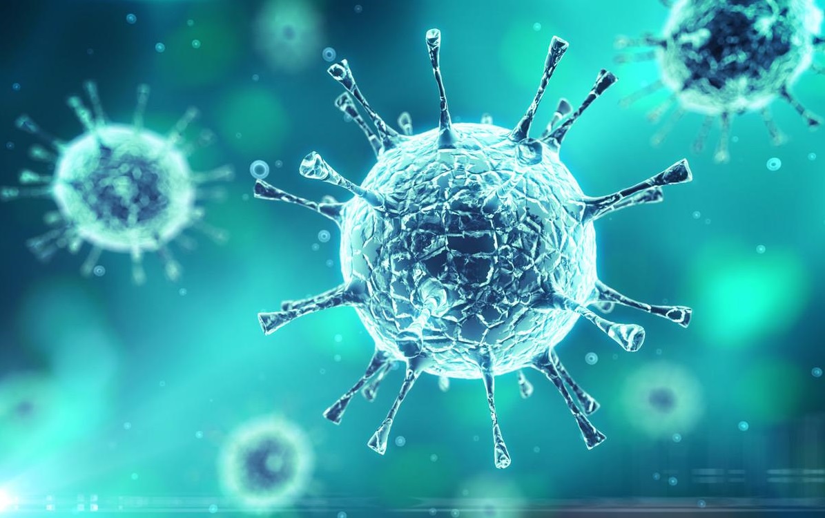 Zhong Nashan's afraid thing appears! Origin of Heibei epidemic situation already made a thorough investigation of, as expected with concern outside the condition, careful