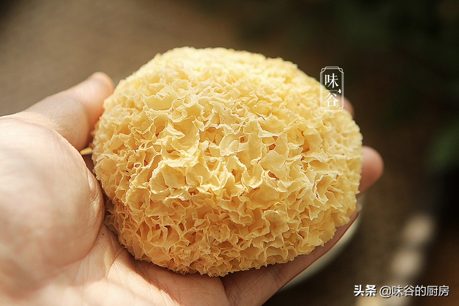 秋天吃银耳，银耳买黄的还是白的好？教你正确方法，简单实用