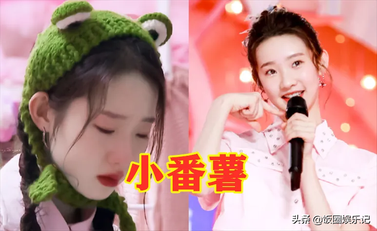 希林娜依·高粉丝名，陈卓璇粉丝名，看到张艺凡