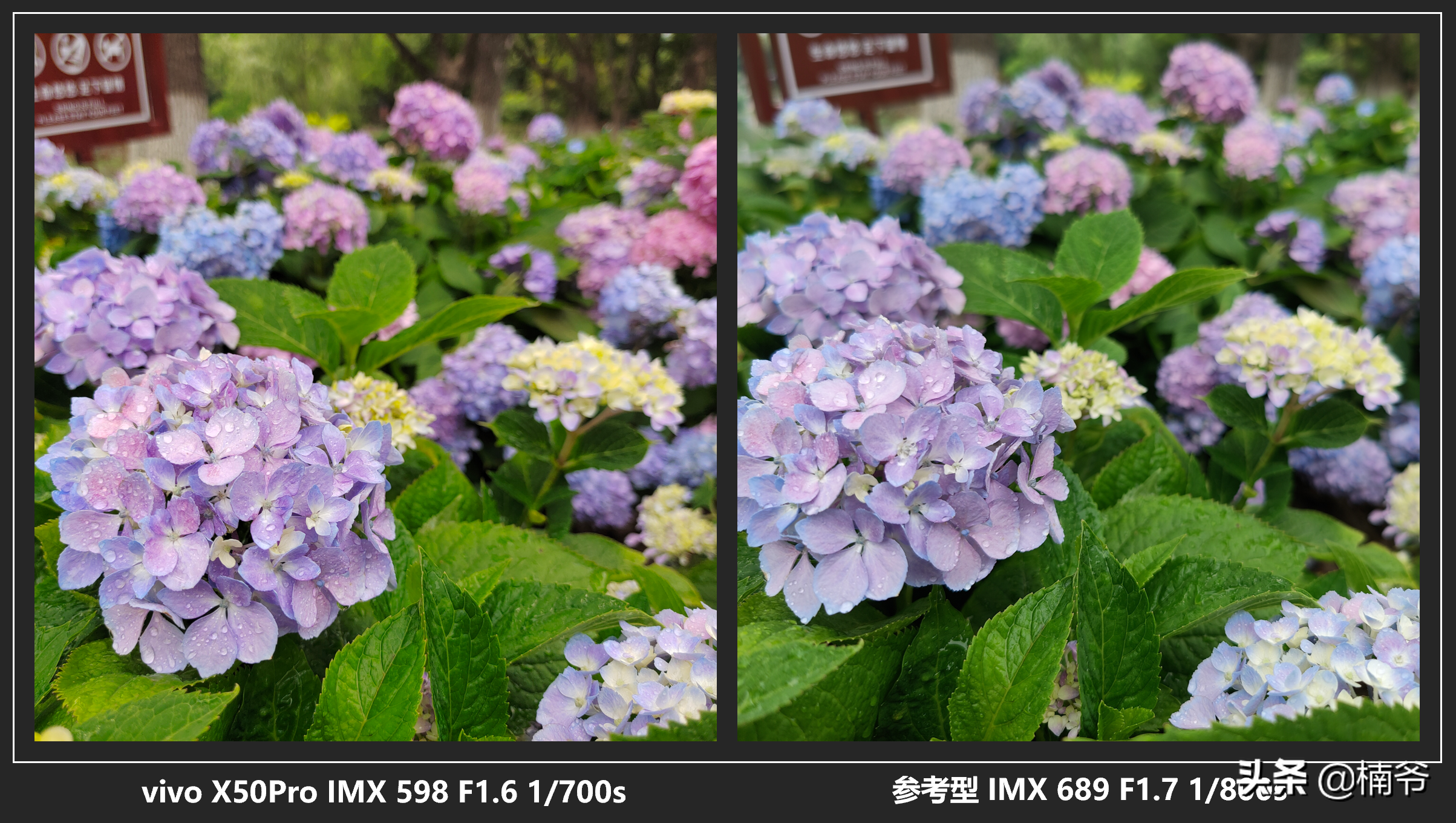 云台防抖当真天下无敌？vivo X50 Pro微云台手机头条数码首发评测