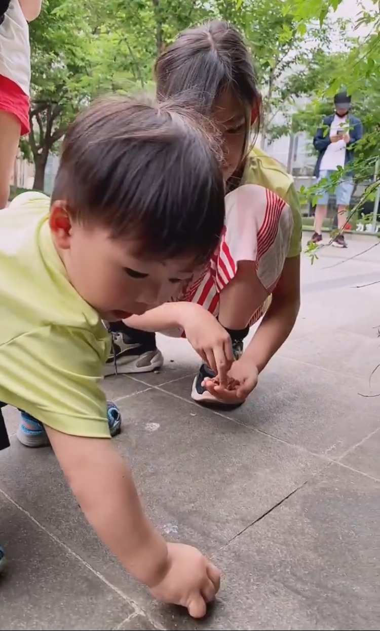 蔡少芬张晋带三子女喂流浪猫，鱼蛋投喂成功后开心不已，模样超萌