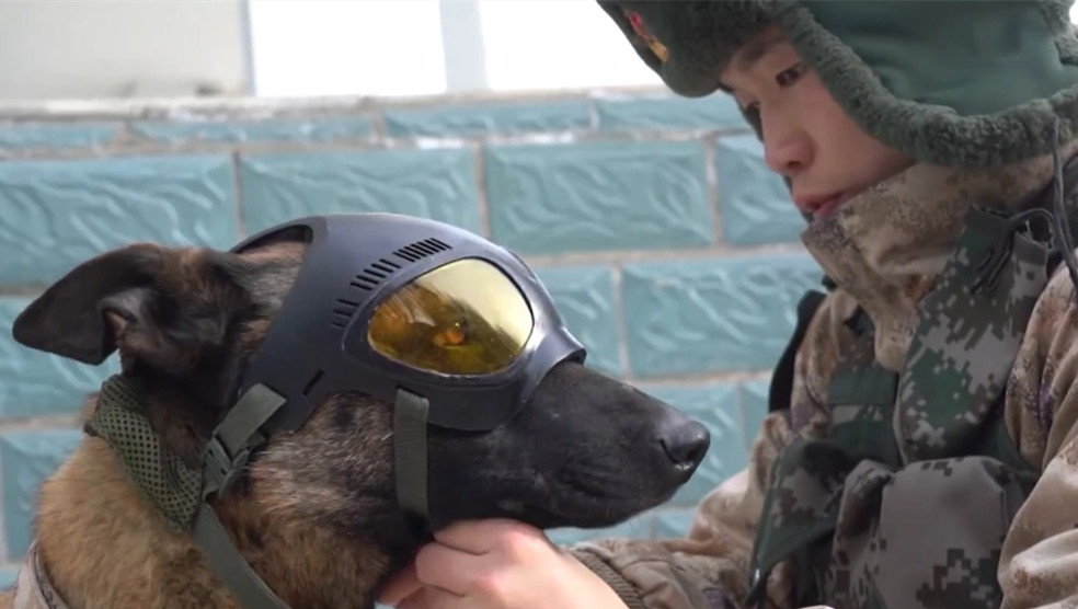 �������������й�����ʵ�֣�����Ľ�ž���ʽ����������װ���嵥