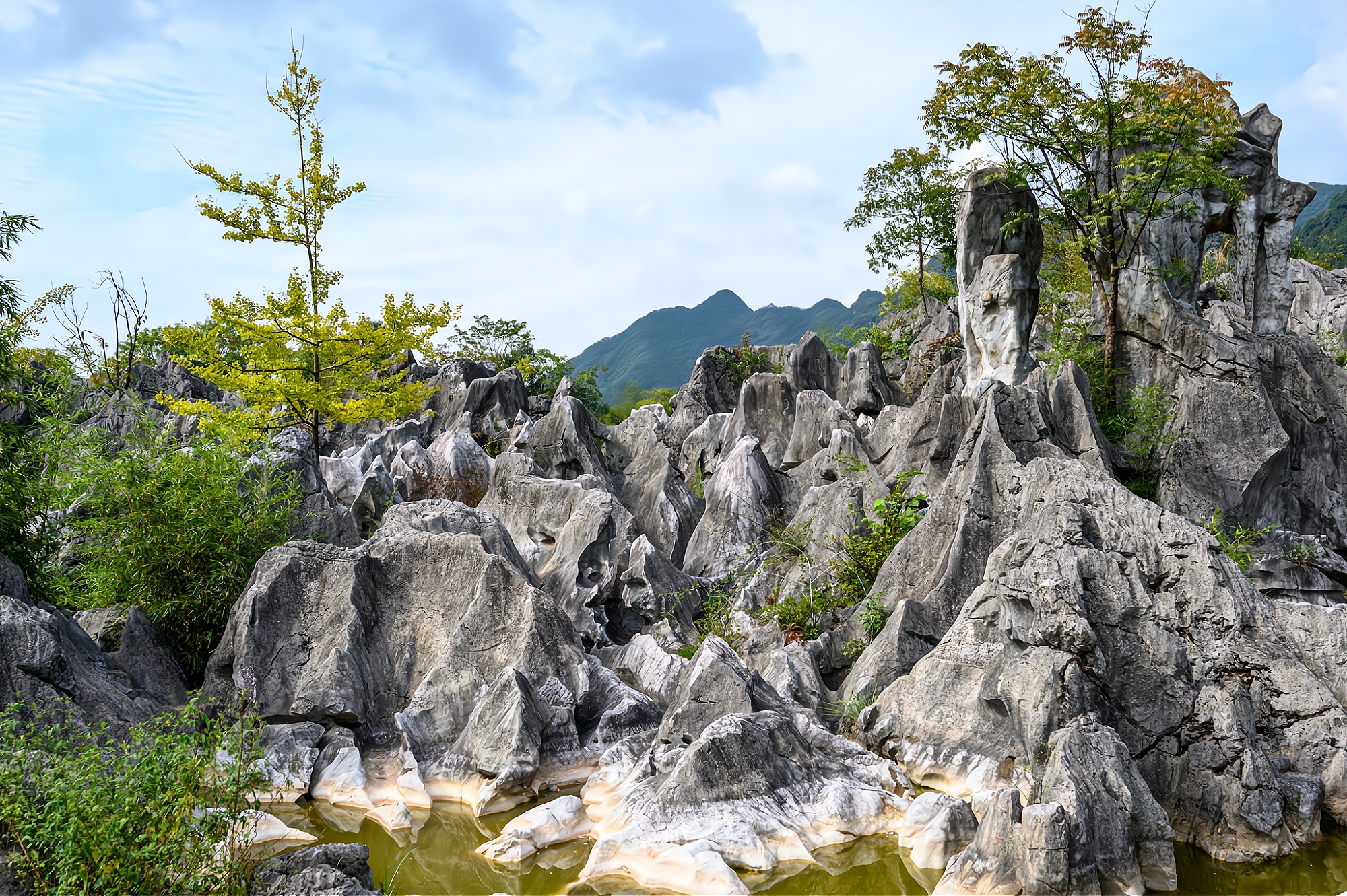 It is one of the four largest stone forests in China. It is as famous as the Yunnan Stone Forest and is known as "the first stone forest in East China"