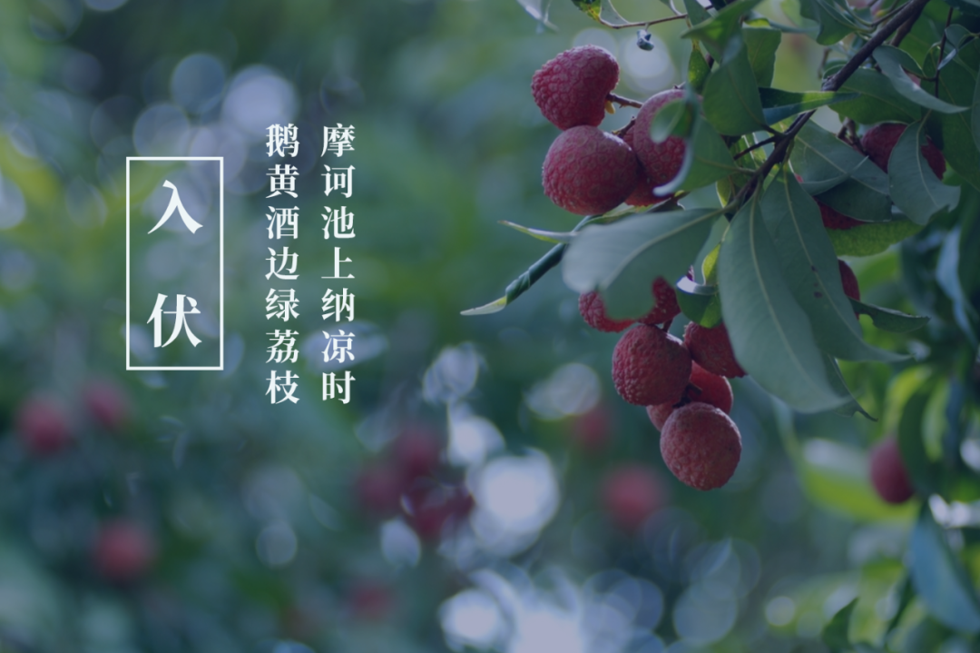 今夏入伏，你知道古人写了哪些有关三伏的诗？-第7张图片-非凡网