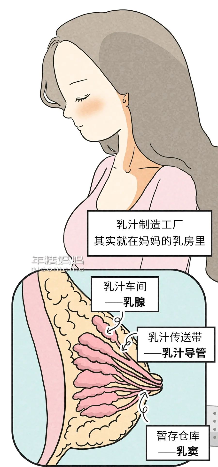 别再让我忌口了！哺乳期妈妈不能吃的就这3类