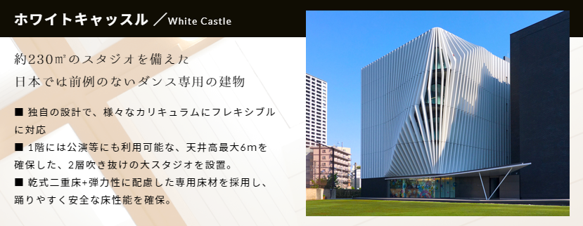 洗足学园音乐大学—日本音乐大学中燃起的新星