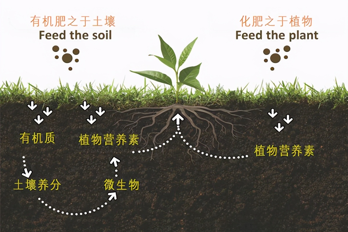 �й���ʳΣ�������������ڱ�ƣ�ǧ���궫������50������ʧ