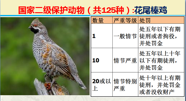 国家最新125类二级野生保护名录，图片及违法对应刑责