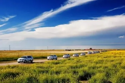 Repelling the scorching summer grassland paradise, Hulunbuir travels the most beautiful route, parent-child vacation praises