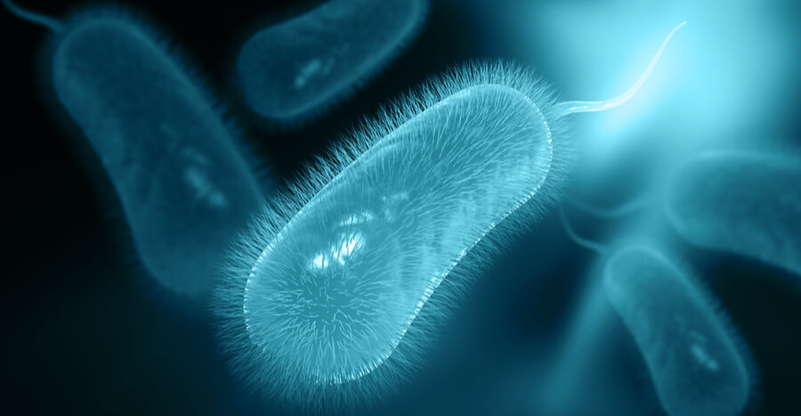 感染幽门螺杆菌一定要治疗吗？