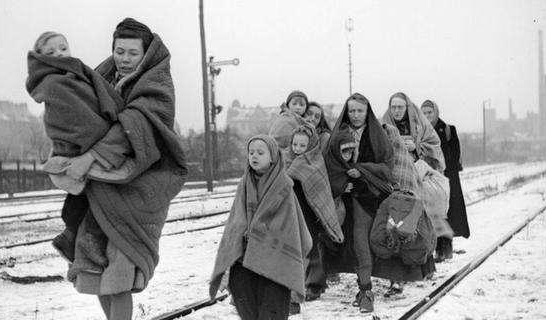 二战后，日本为增加人口疯狂繁育下一代，却对