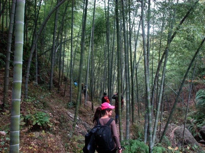 中国十大名山，每个都有最，爬过五座就是英雄