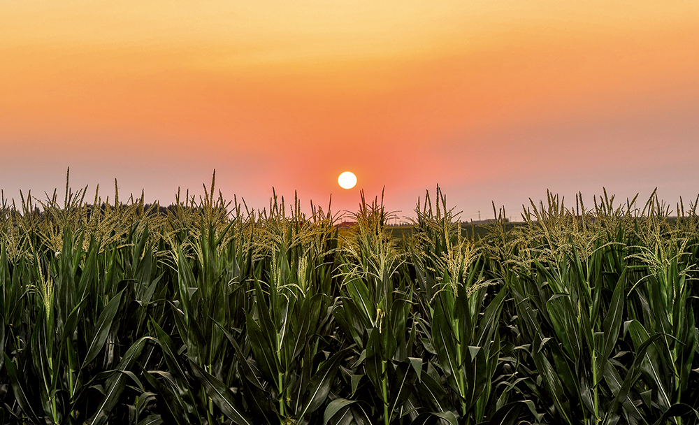 �й���ʳΣ�������������ڱ�ƣ�ǧ���궫������50������ʧ