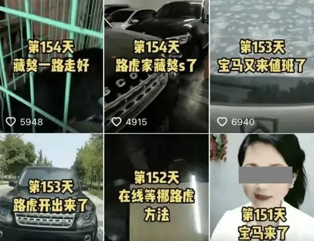 “吨姐”彻底翻车了，虚构路虎堵宝马被拘留，个人帐号被永久封禁