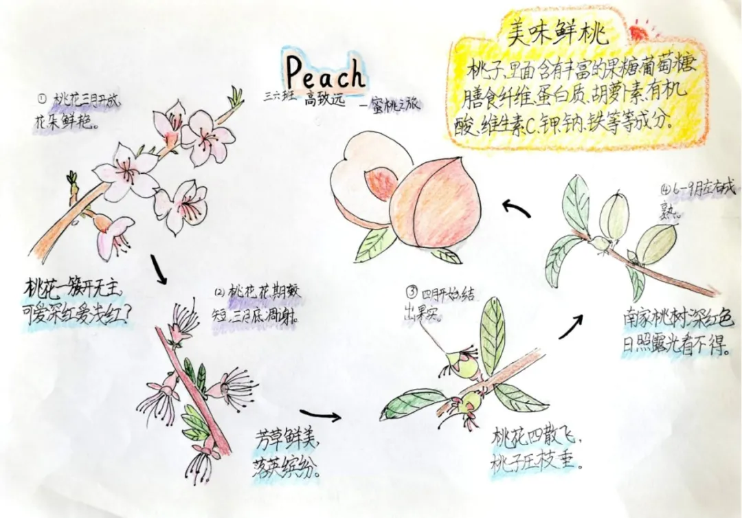 玩转科技节，开广好奇心——天府新区华中附小首届科创节活动