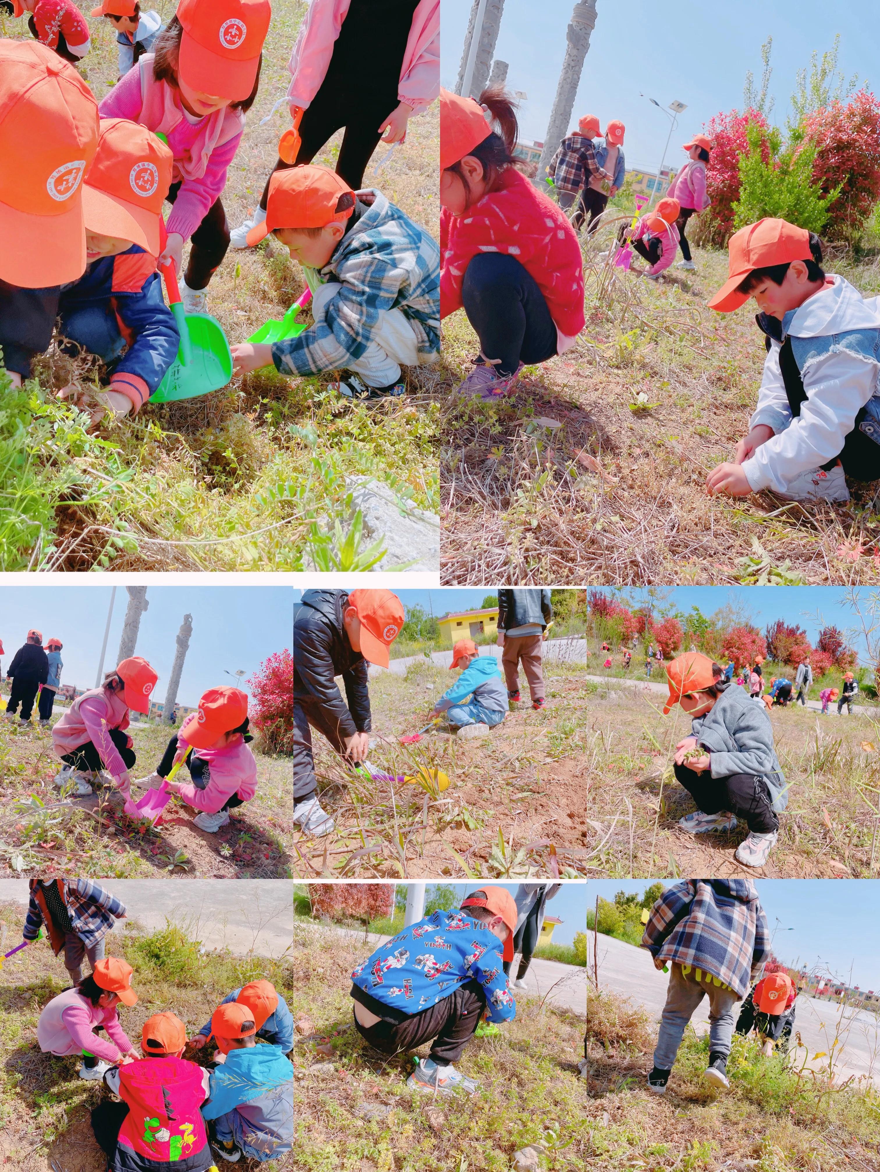 厚坡镇中心幼儿园户外实践活动