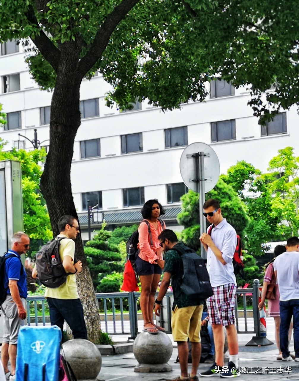山东烟台的龙口市南山村,家家有别墅是全国有名的“土豪村”之一