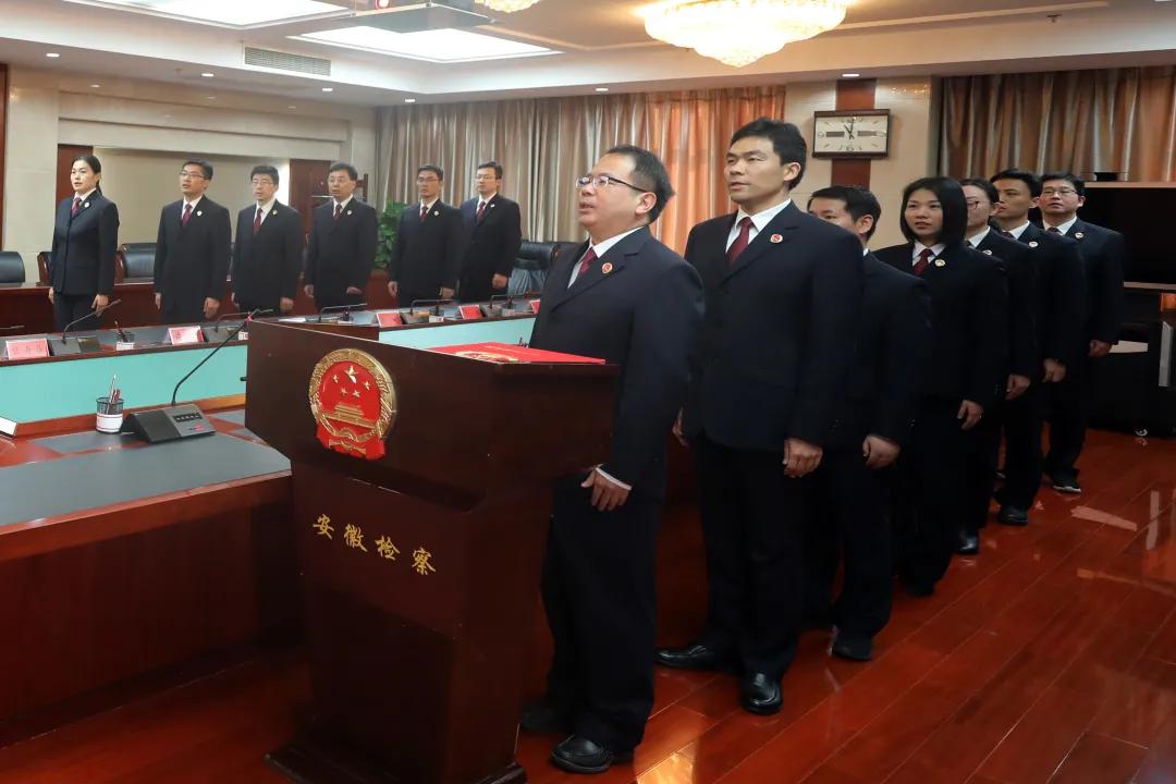 他们向宪法庄严宣誓！