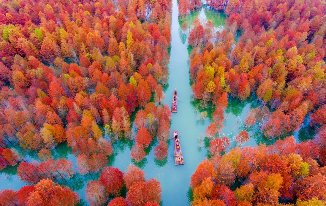 The most beautiful place to travel in November, no strategy and no money, which one do you want to go to?