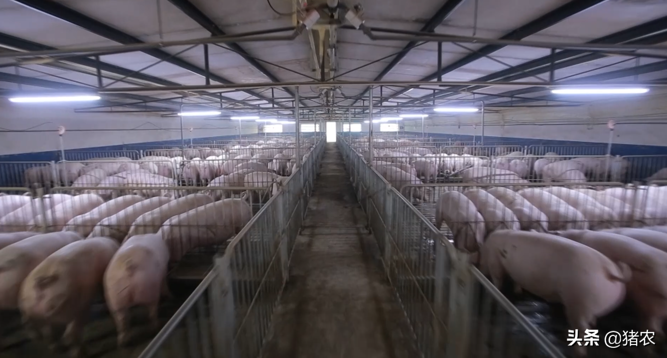 小散户为什么逐渐被淘汰？原因有三