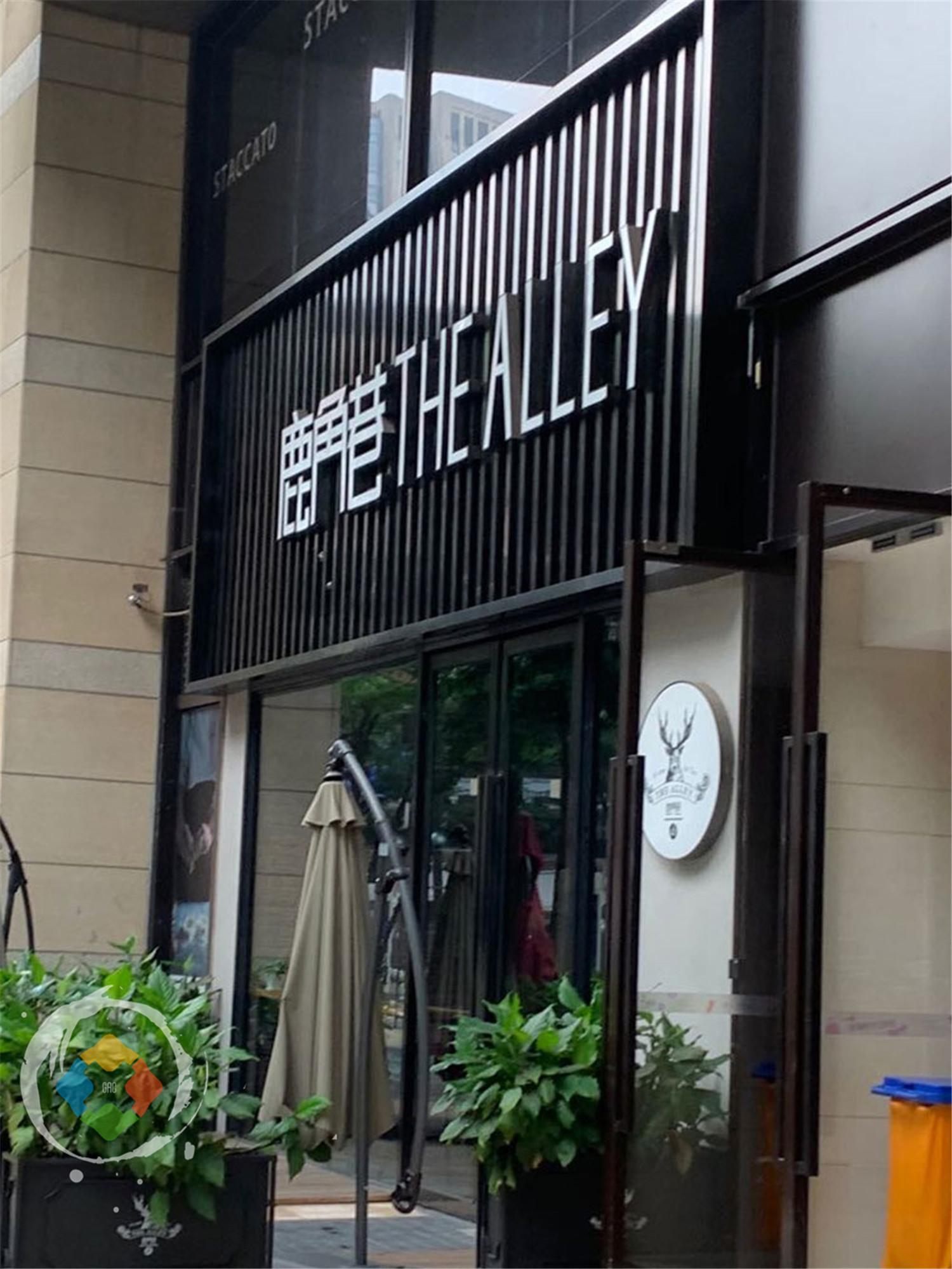 重庆奶茶店被追星族包围，门前水泄不通，都是来看谁的？