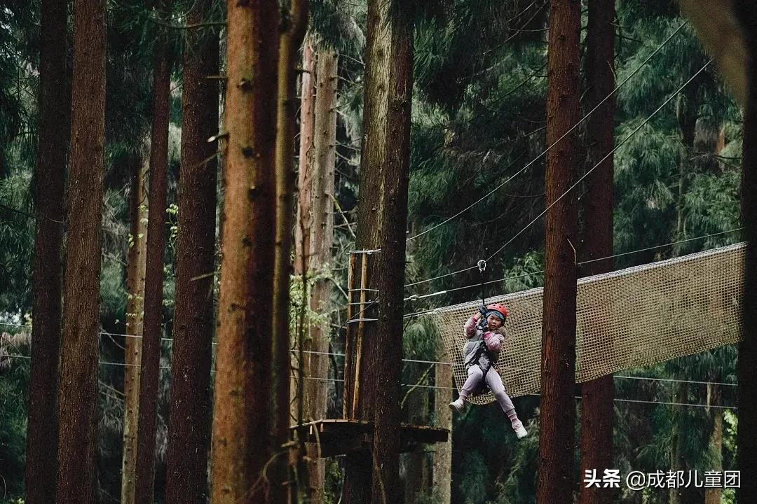 %title插图%num 成都周边藏着三个小众森林打卡地,溜娃、避暑、耍水齐活儿了