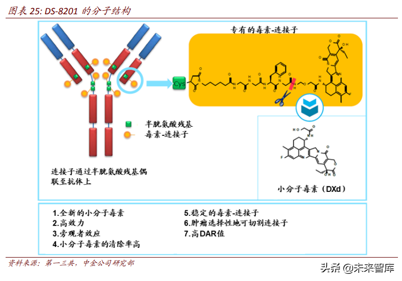 ADC药物专题研究：蓄势待发，有望引领下一个十年的新药研发