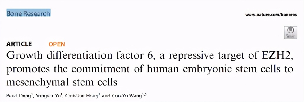 成骨分化：GDF6促进胚胎干细胞向间充质干细胞分化