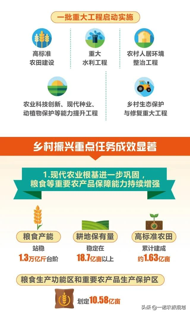 首个乡村振兴战略规划实施报告干货