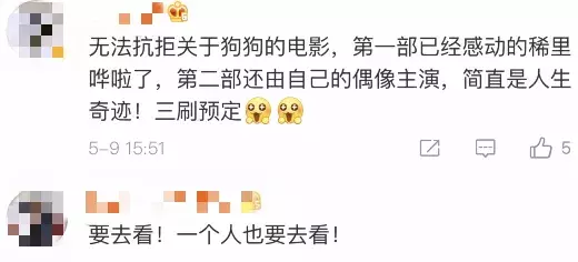准备好纸巾!「一条狗的使命2」来了
