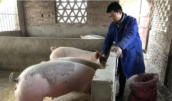 警示：小散户退出，给养殖业带来的是危机