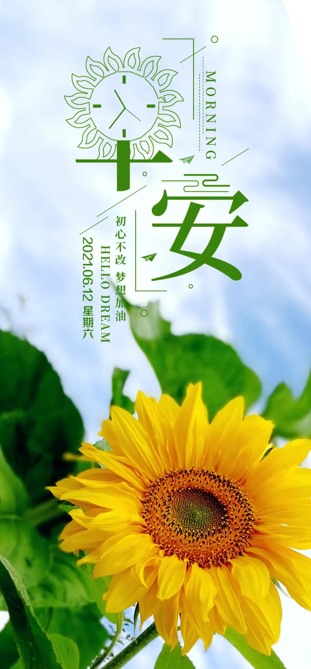 6月12日 早上好 美好的一天从我的问候开始 早安图片来啦 放飞的喀喀 Mdeditor