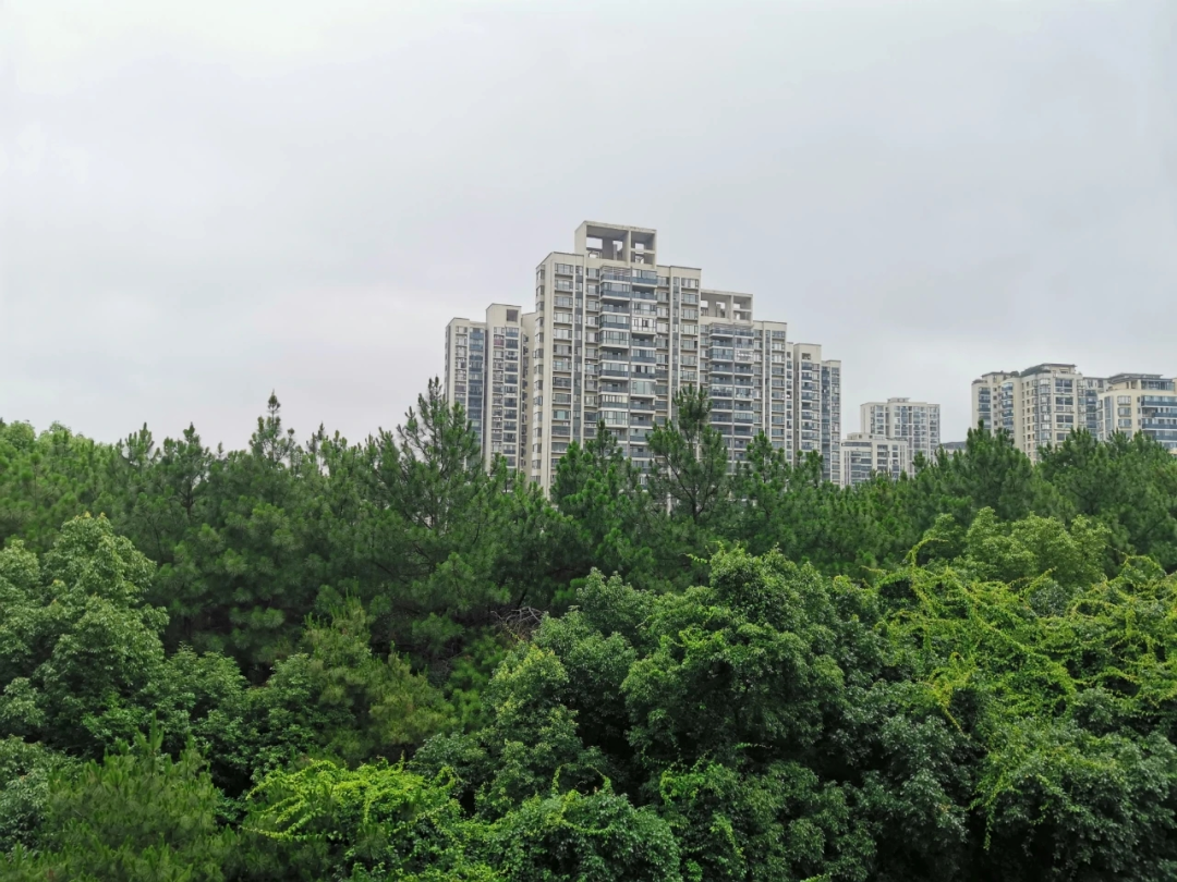 长沙市中心,这个5年后重启的楼盘,将成“宝藏”还是“咸鱼”?