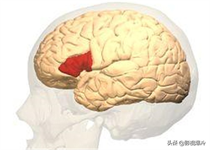 默读时，脑袋里会出现说话的声音，这个声音是