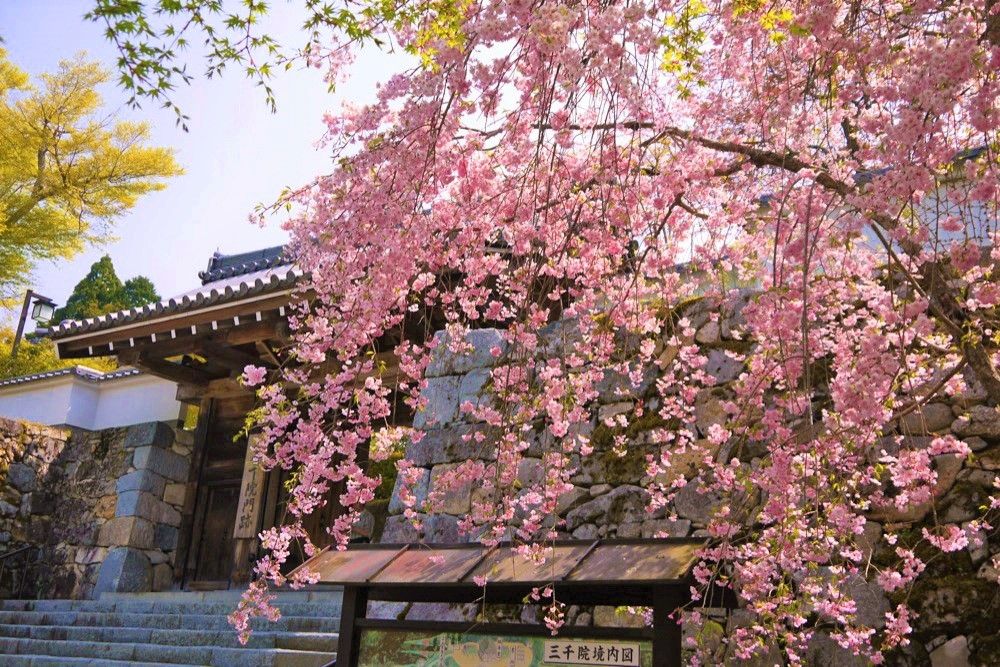 京都著名景點三千院的三千究竟是什麽意思,跟三界有啥關係