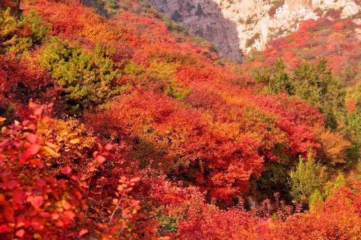 太原深秋一定要来这几个地方，一起见证太原唯美秋色插图3