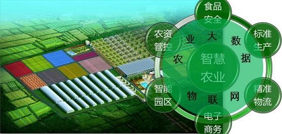 物聯(lián)網(wǎng)行業(yè)解決方案—農(nóng)業(yè)產(chǎn)業(yè)園信息化建設(shè)