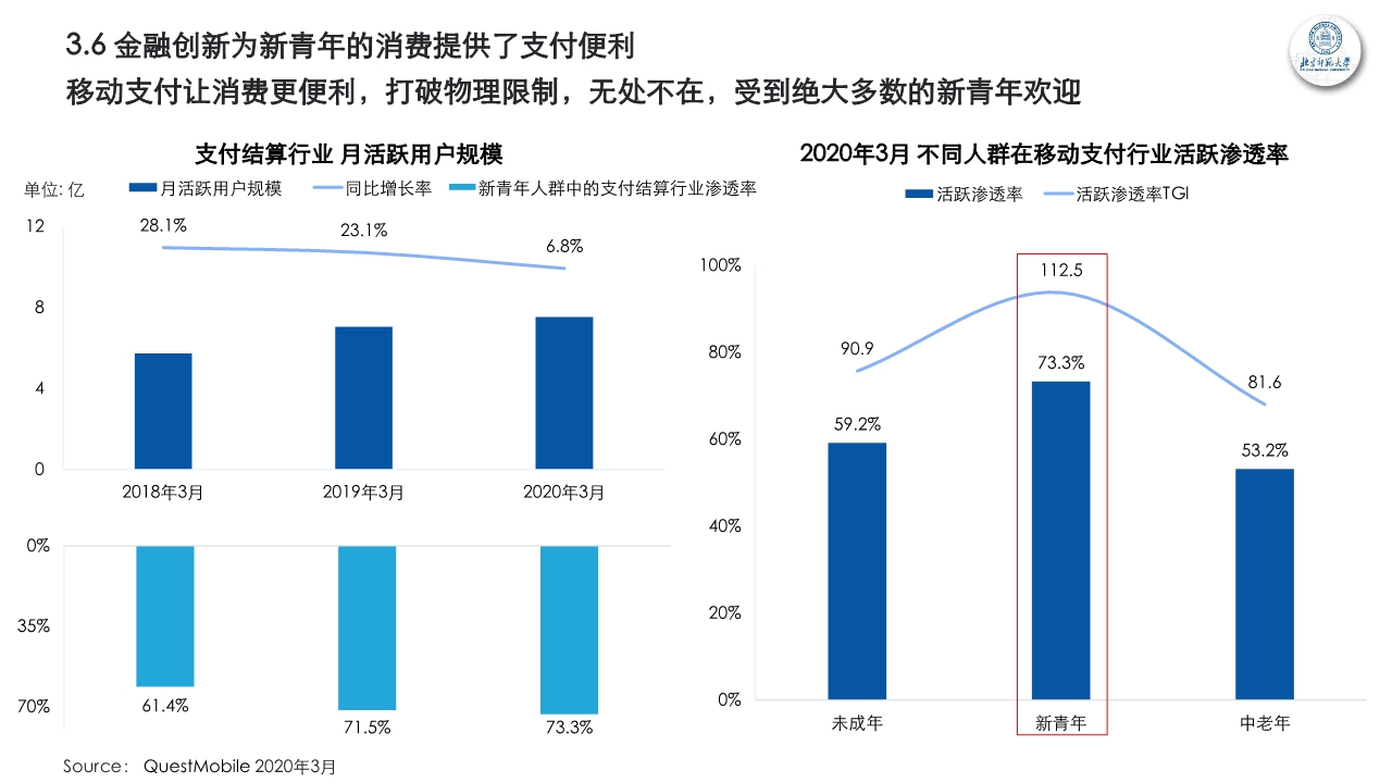 新青年新消费观察研究报告