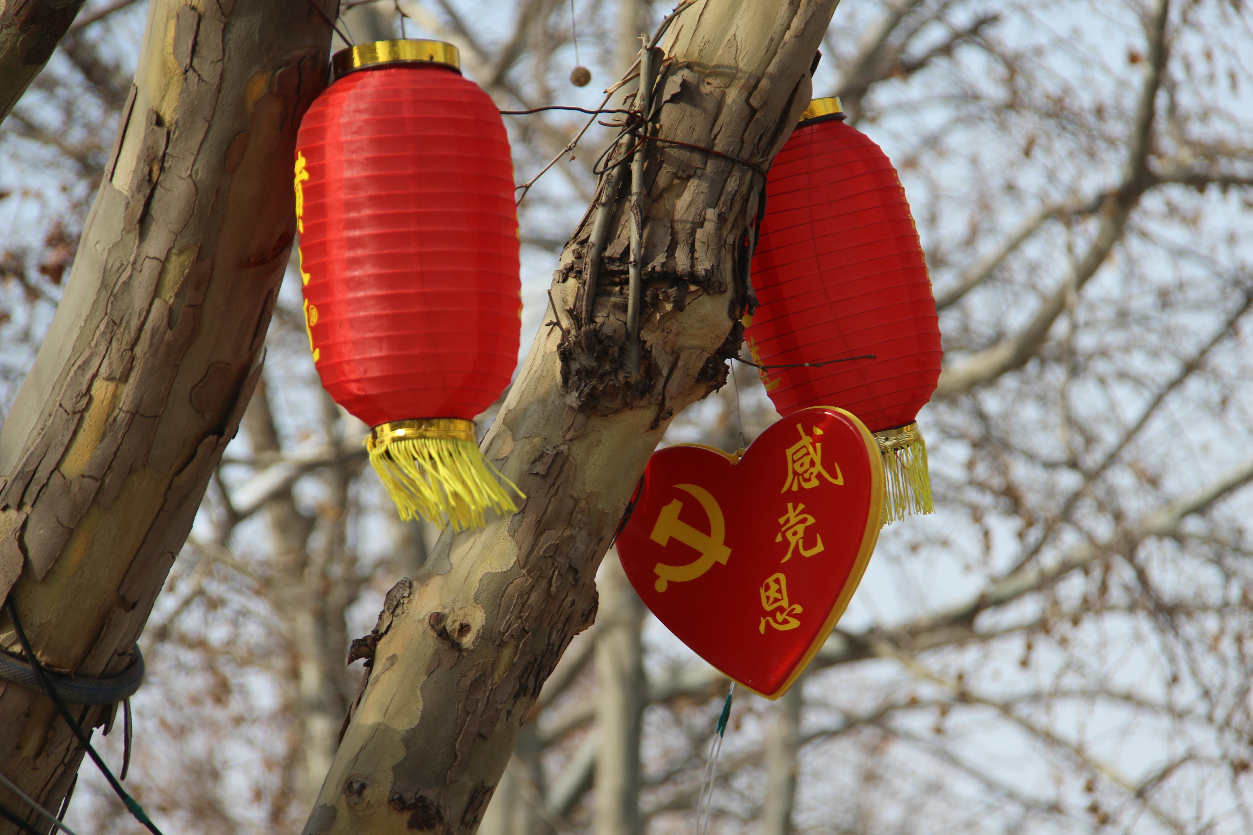 临沭县综合行政执法局悬挂红灯笼扮靓城市景观营造节日氛围