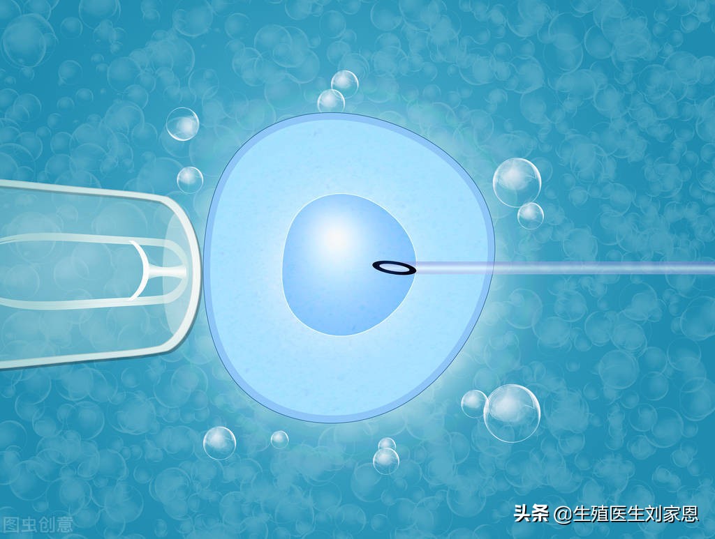 怀不上孩子究竟该人工授精还是试管婴儿？