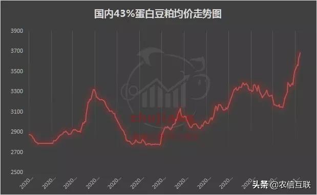 玉米豆粕创新高：大涨200元，饲料涨价涨多少？最全饲料涨价表