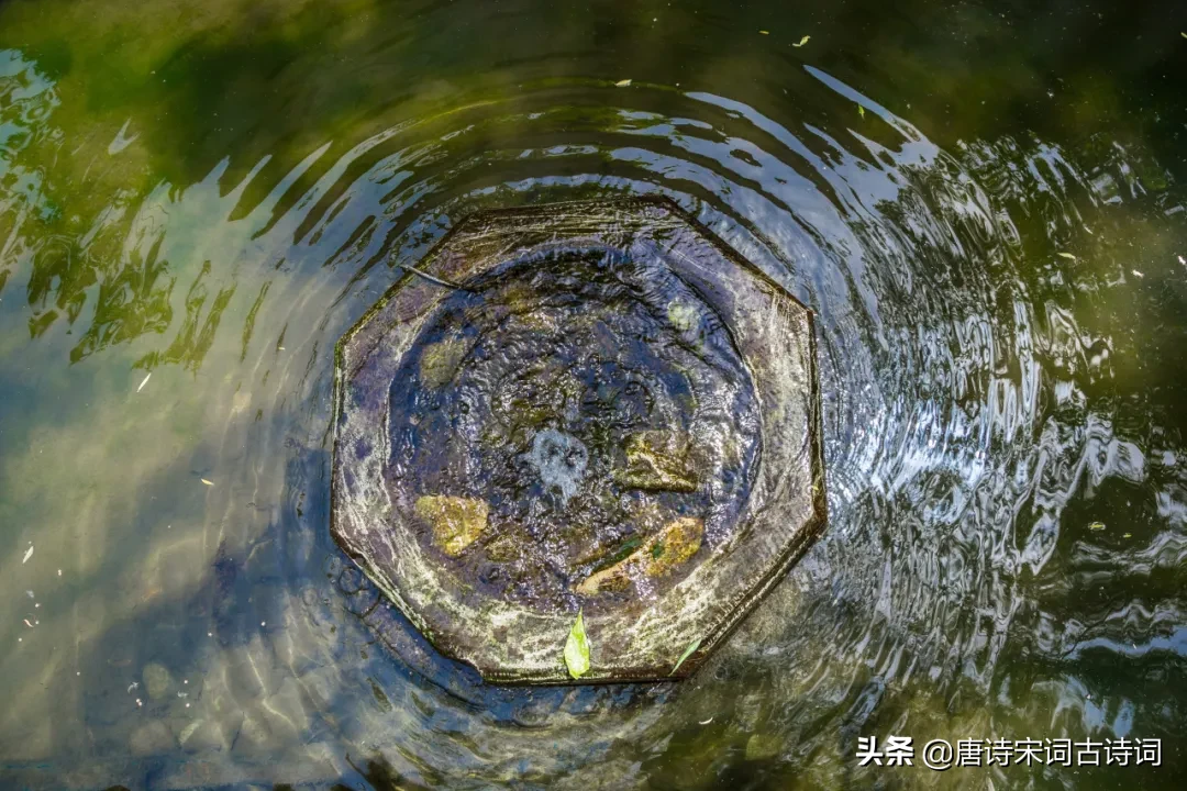 拳打朱熹脚踢二程，他的理学造诣却被世界忘记，只能通过小诗明志