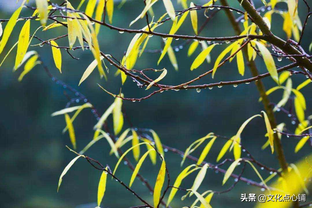 绝美爱情诗词：我见众生皆草木，唯你是青山-第7张图片-非凡网