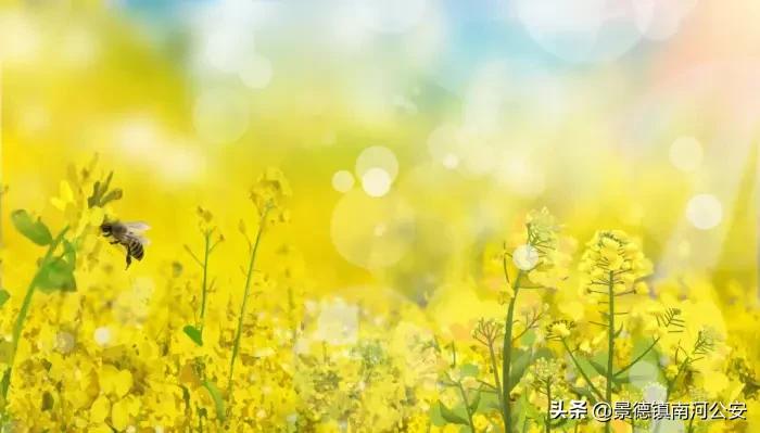 唯美春日古诗词：花已初开，愿君常在-第2张图片-非凡网