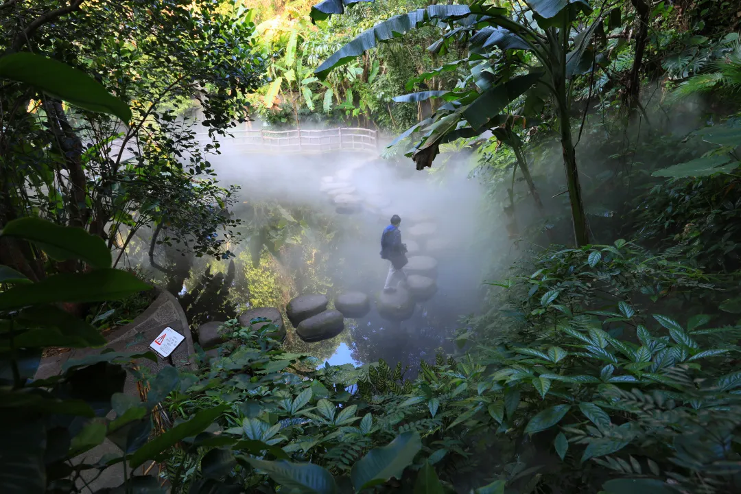 植物园雨林雾森时间调整,还将有这些变化