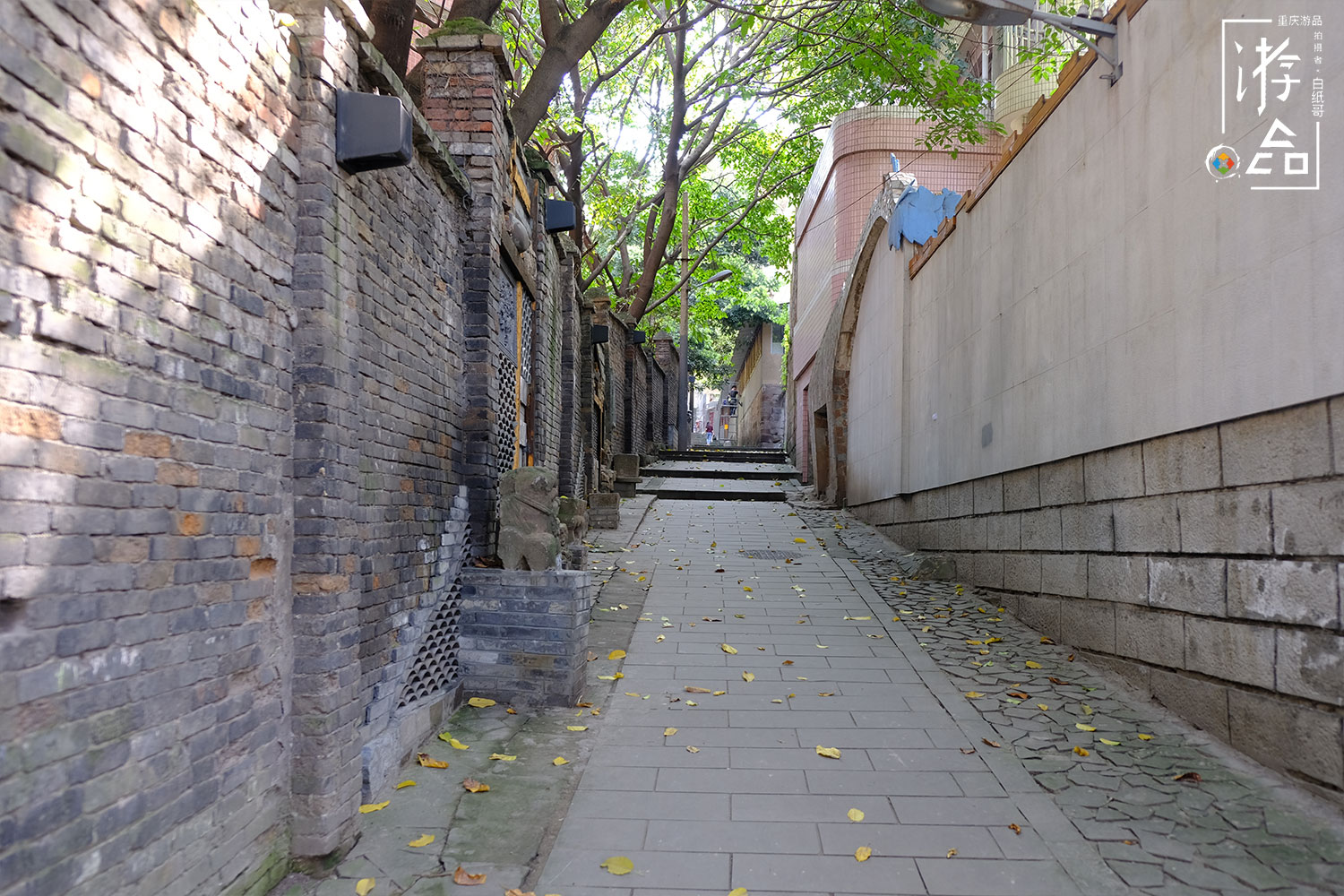 3种重庆民居建筑，不同阶层之间差异明显，但吊脚楼却贯穿始终