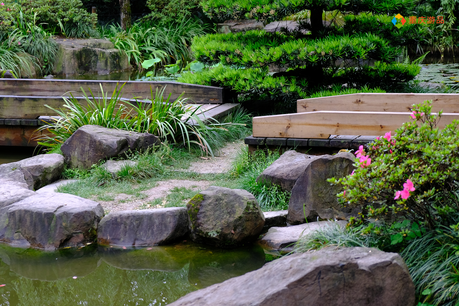 魅力渝中：建于清朝的私家园林，变成重庆人的城市公园，免费开放